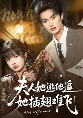 夫人她逃他追，她插翅難飛(全集)
