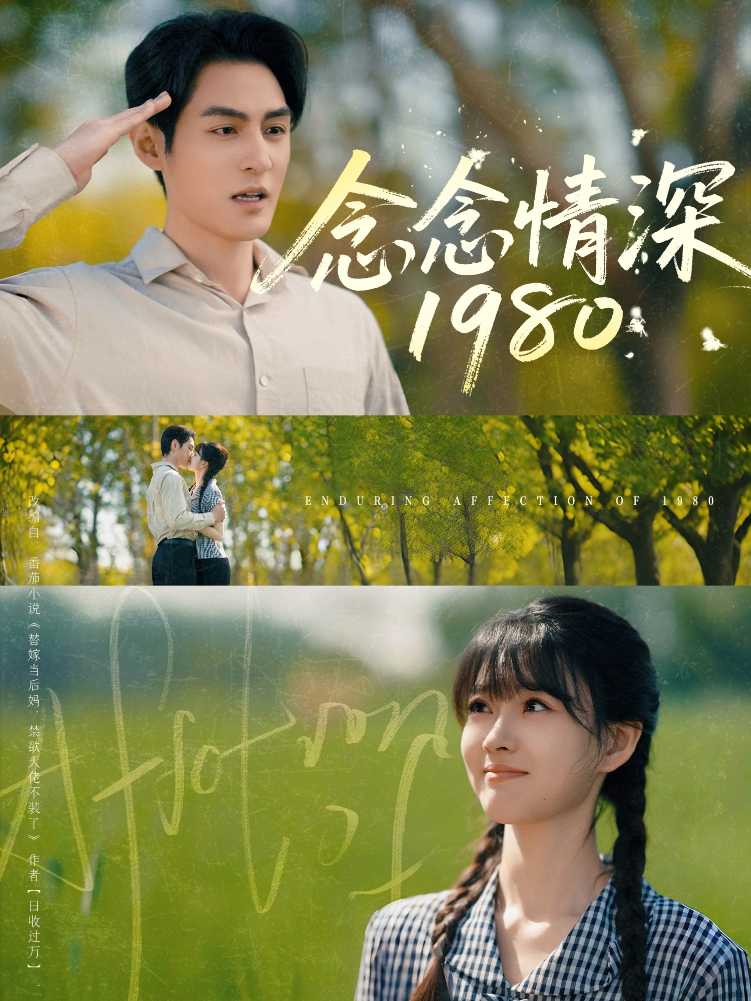 念念情深1980(全集)