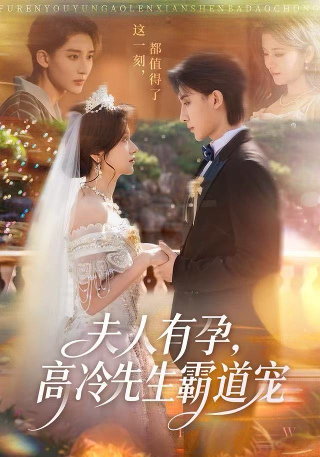 夫人有孕，高冷先生霸道寵(全集)