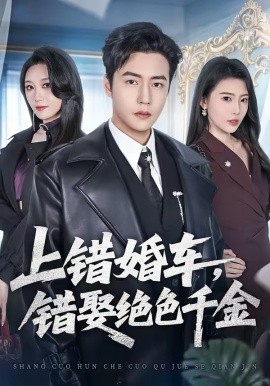 上錯婚車，錯娶絕色千金(全集)